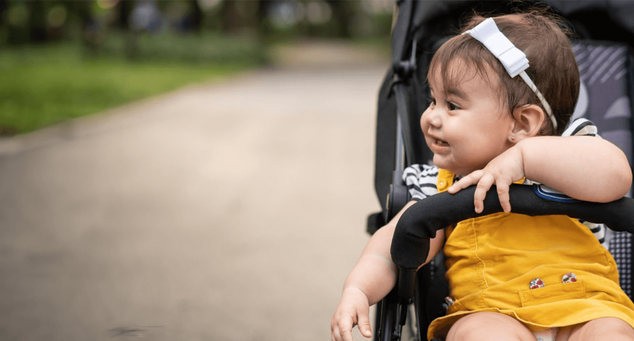 The Wonders of Modular Strollers