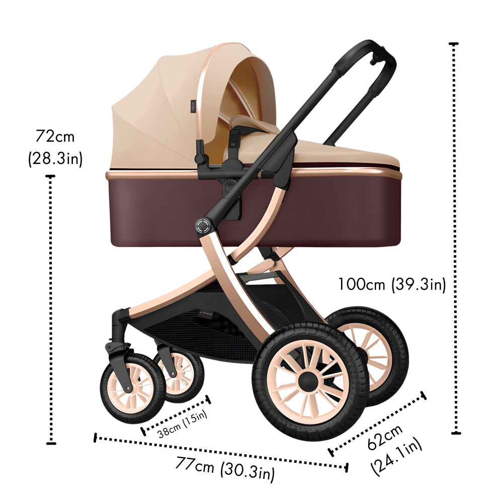 Deluxe 2-in-1 Baby Stroller