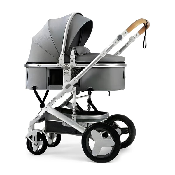 Premium Special Edition 2-in-1 Baby Stroller