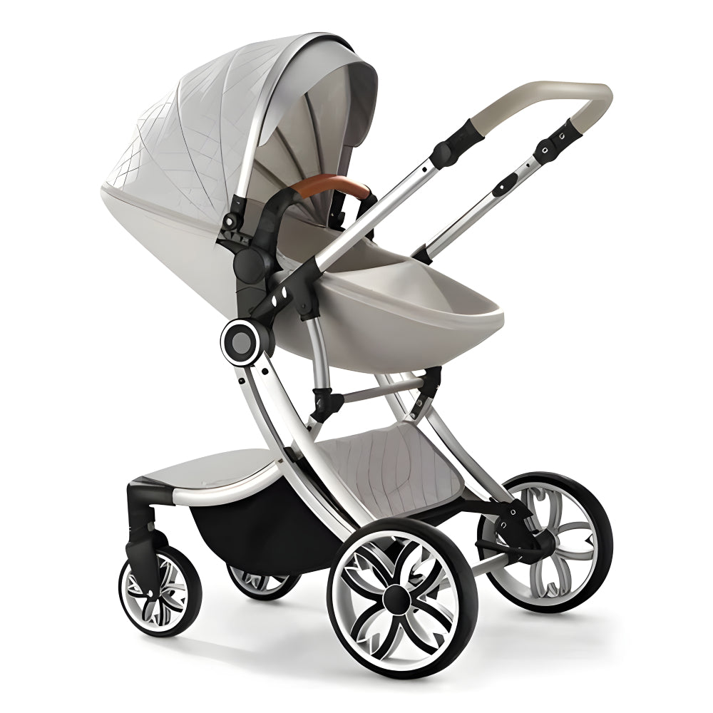 Luxe 2-in-1 Baby Stroller