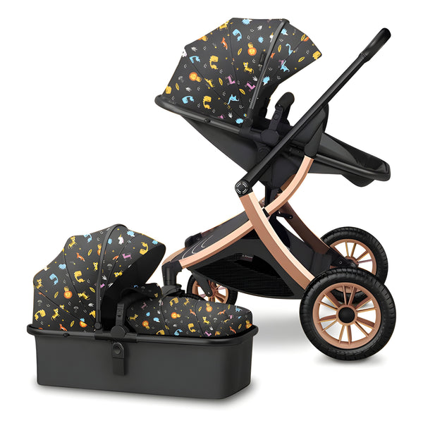 Deluxe 2-in-1 Baby Stroller