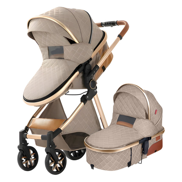 Luxury 2-in-1 Baby Stroller