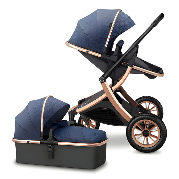 Deluxe 2-in-1 Baby Stroller