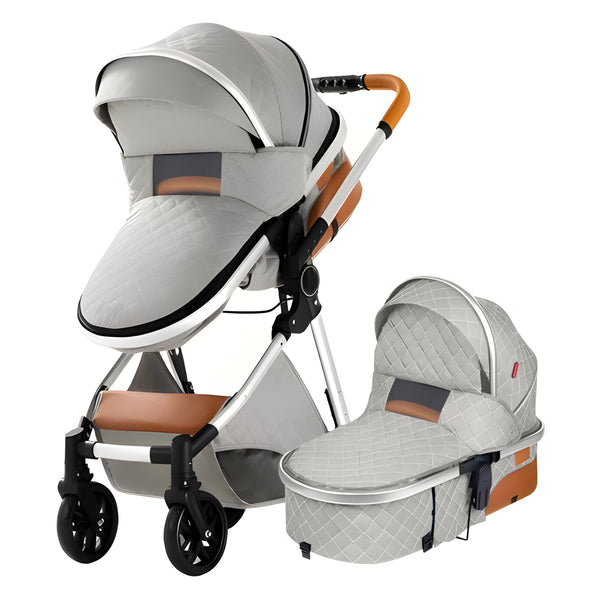 Luxury 2-in-1 Baby Stroller