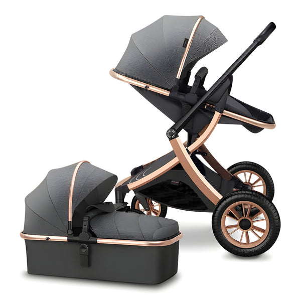 Deluxe 2-in-1 Baby Stroller