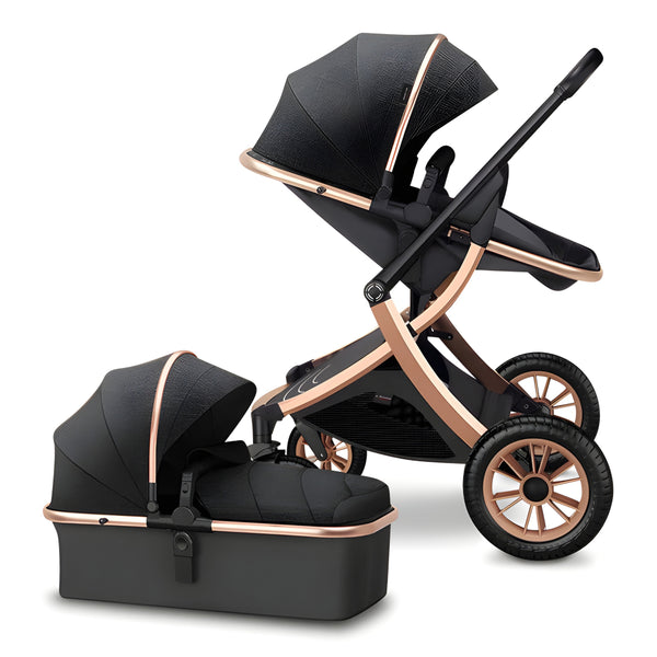 Deluxe 2-in-1 Baby Stroller