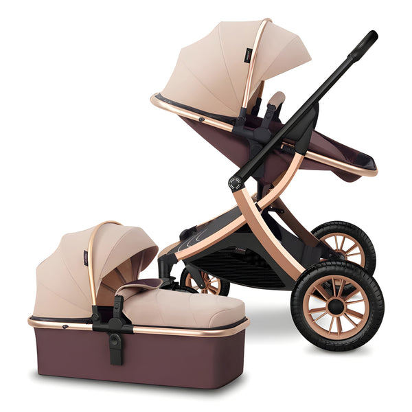 Deluxe 2-in-1 Baby Stroller