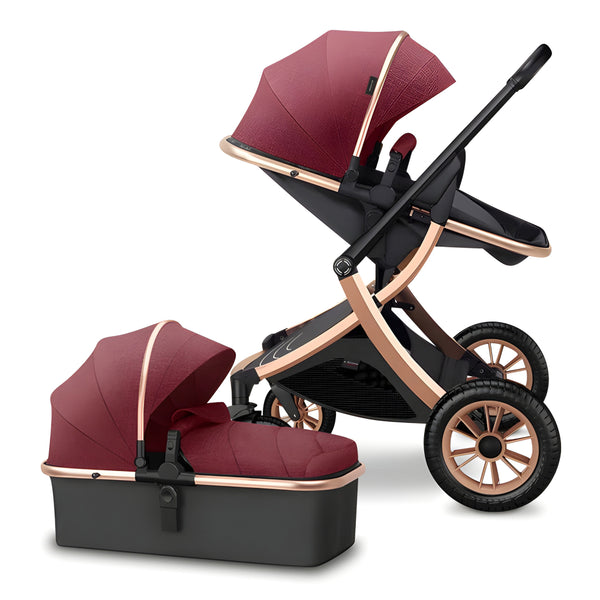 Deluxe 2-in-1 Baby Stroller