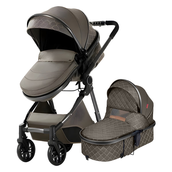 Luxury 2-in-1 Baby Stroller