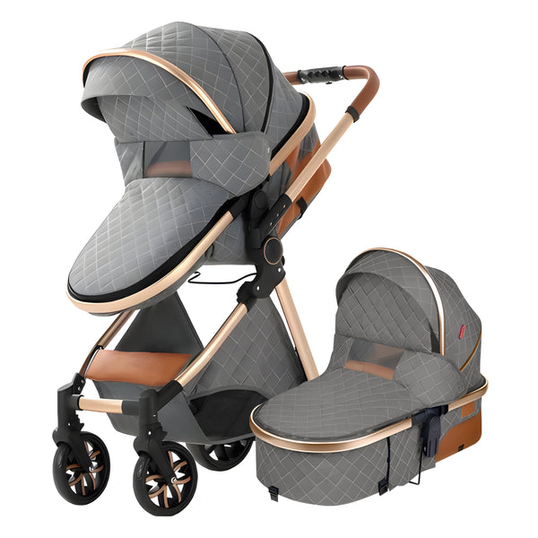 Luxury 2-in-1 Baby Stroller