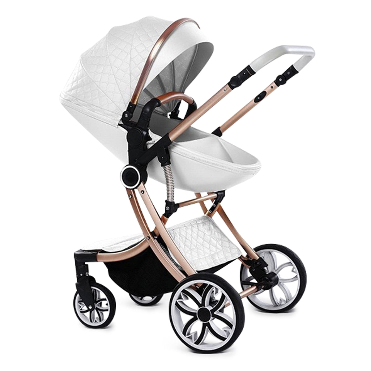 Luxe 2-in-1 Baby Stroller