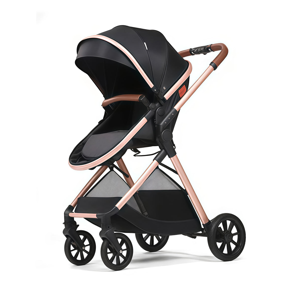 EVOKE 2-in-1 Baby Stroller