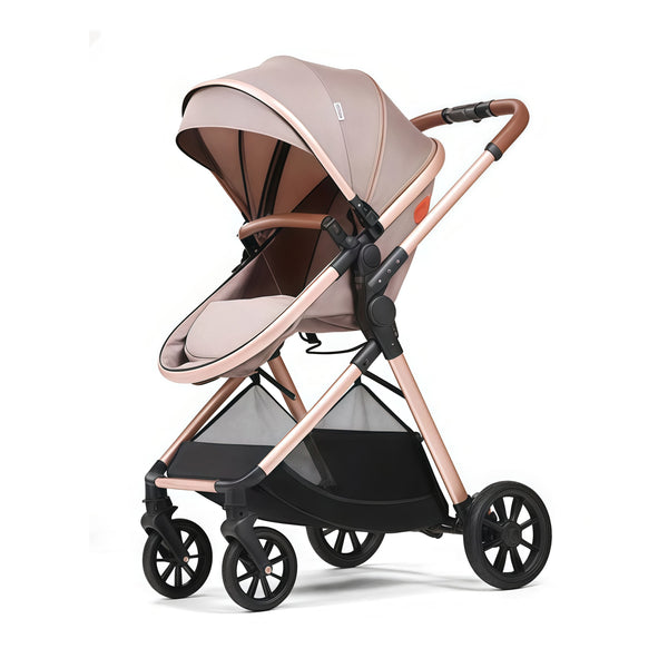 EVOKE 2-in-1 Baby Stroller