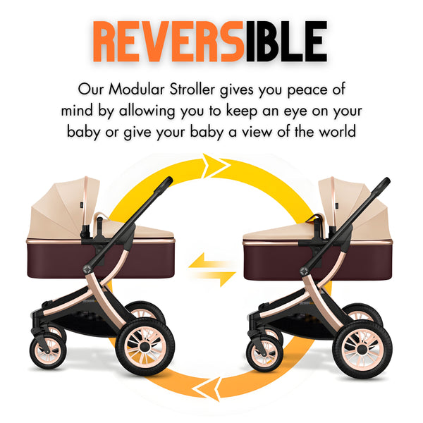 Deluxe 2-in-1 Baby Stroller