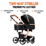 Two way stroller 