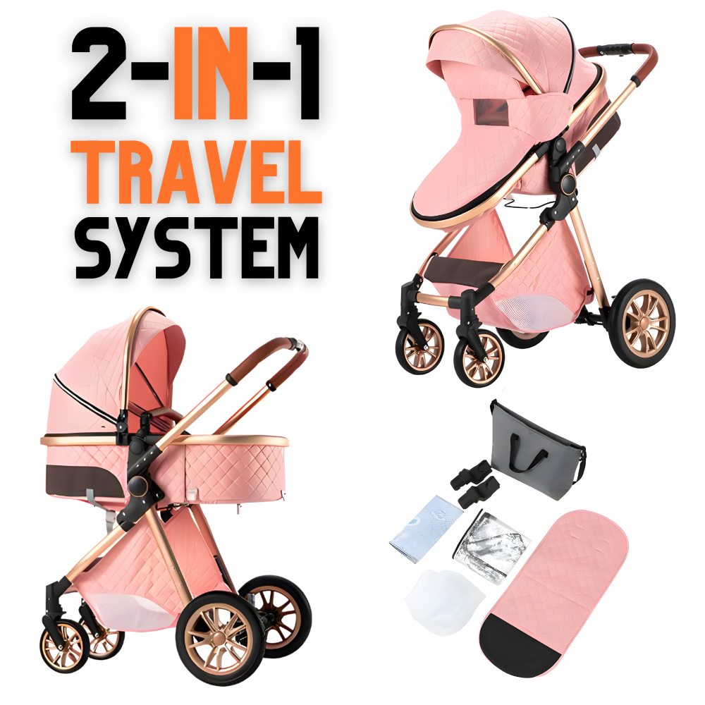 Luxury 2-in-1 Baby Stroller